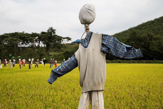 韩国民俗 稻草人