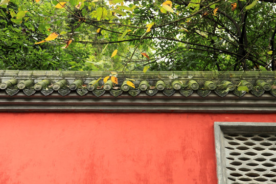 古墙 红墙 庭院