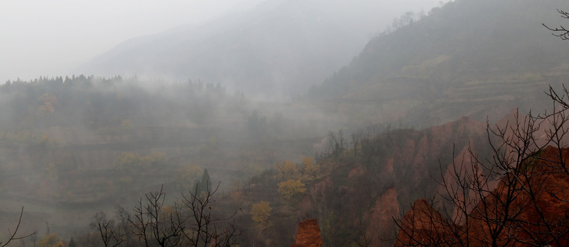 雾里风景