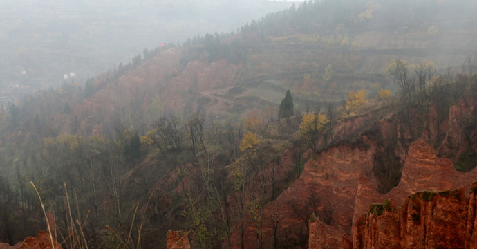 雾里风景