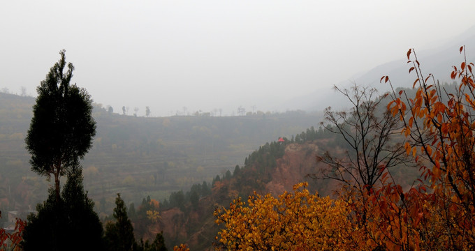 雾里风景