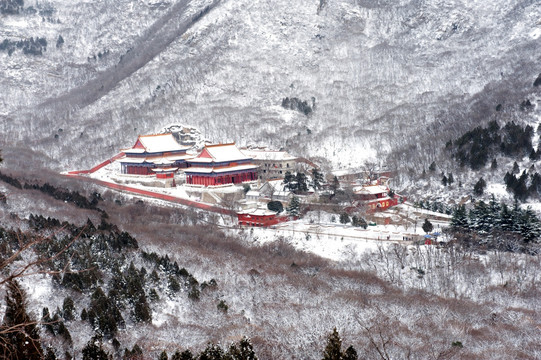 山中的寺庙