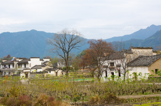 塔川秋色