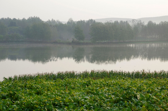 晨雾中的湖边村庄