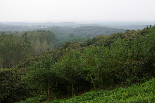 丘陵林区 滁州施集山区