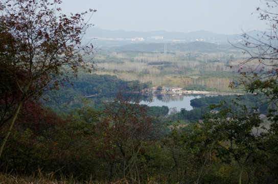 秋日登高看山谷