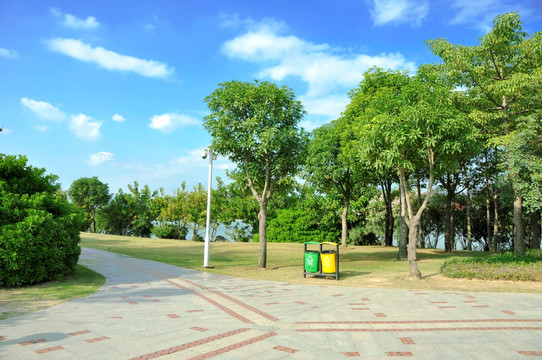 公园蓝天绿树