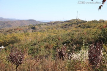 香山