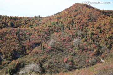 香山