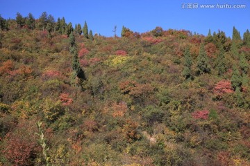 香山