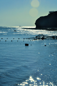 大海