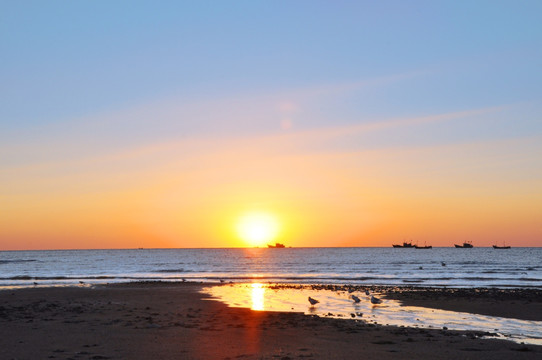 大海