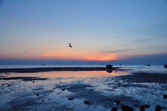 海上日出