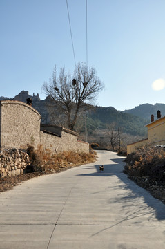 乡村