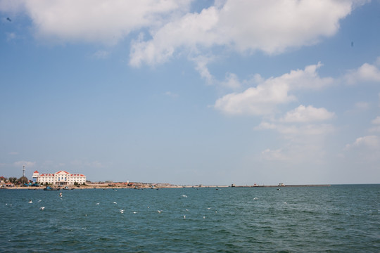 桑岛海滨 海鸥 天空