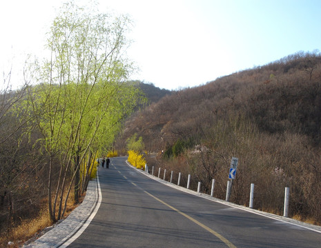 山路