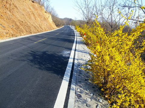 山路