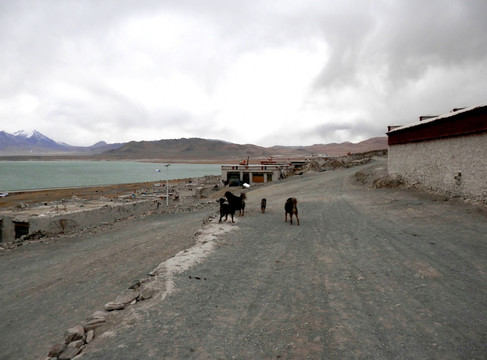 西藏风情 藏族村庄