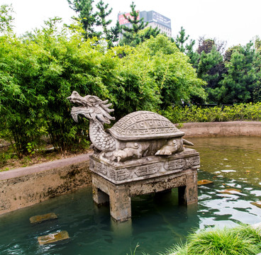 上海锦江乐园神龟