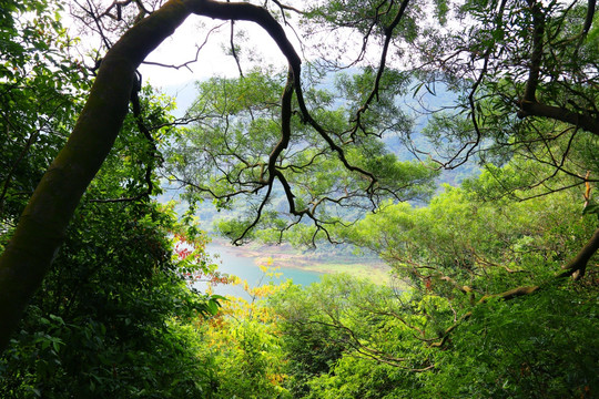 深圳梅林水库