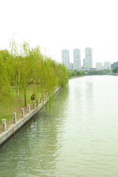 城市 公园
