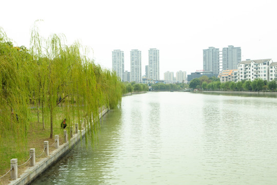 公园