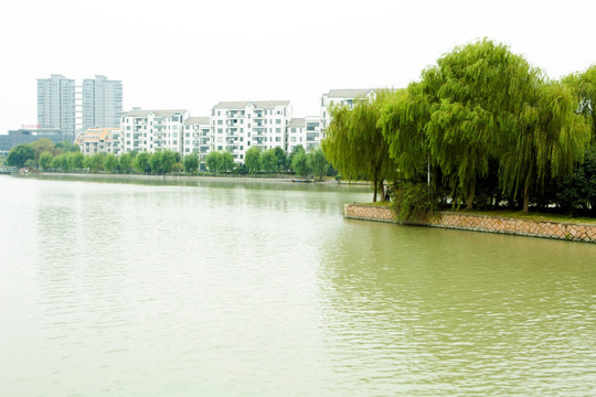 城市 公园