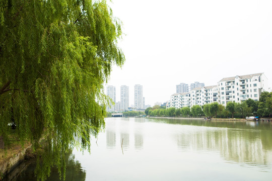 城市 风景