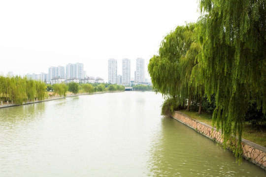 城市 河流