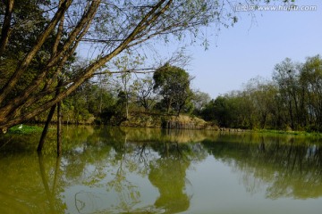 西溪湿地