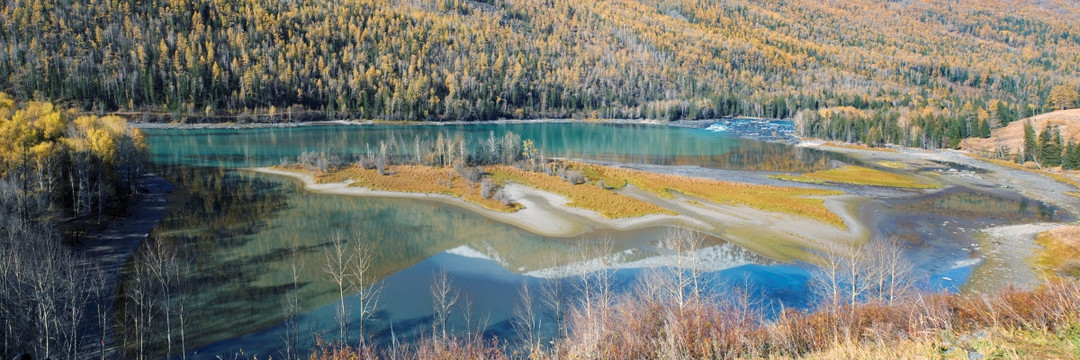 深秋喀纳斯湖风景区金色的山林