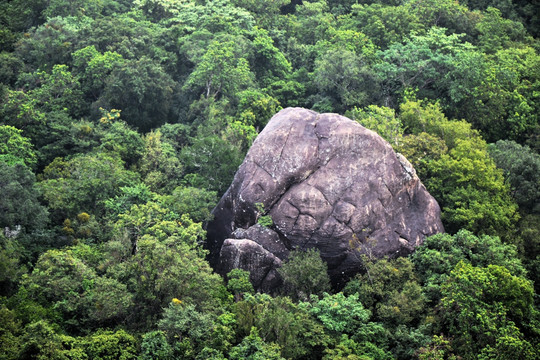 斯里兰卡风光 山野 巨石