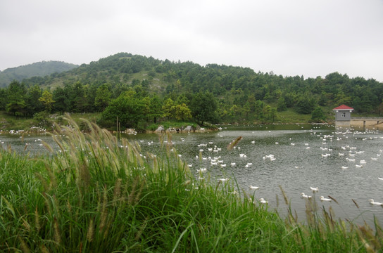 青山绿水间