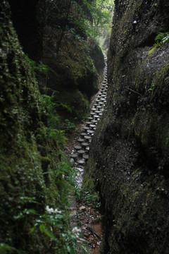 山中小路