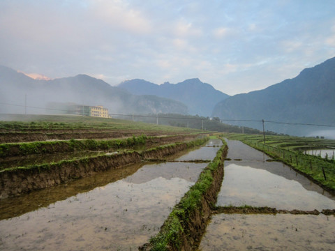 农田 梯田 水田