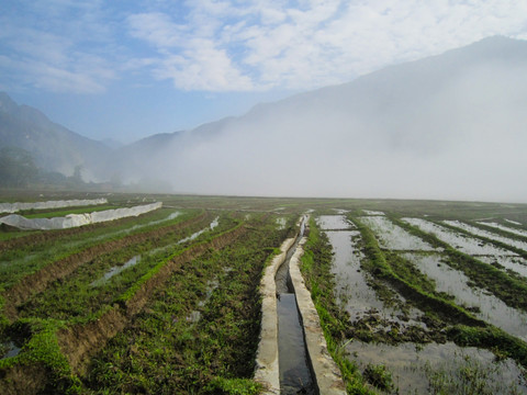 梯田 农田 水田 稻田