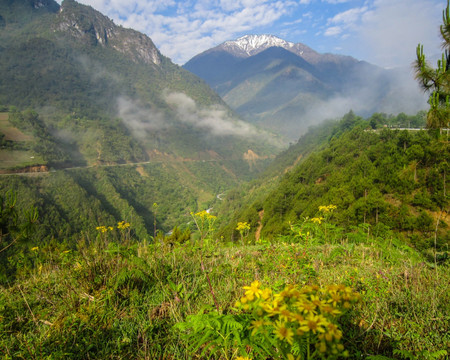 怒江丙中洛风光 山花烂漫