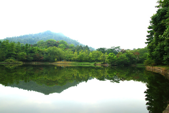 镜花水月