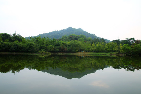 镜花水月