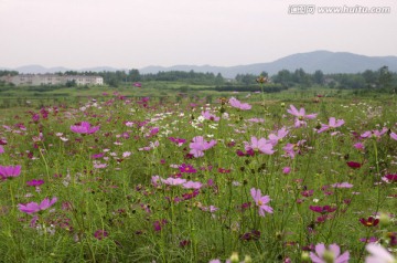 滁州城郊现代农业观光园