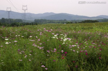 滁州城郊生态农业观光园