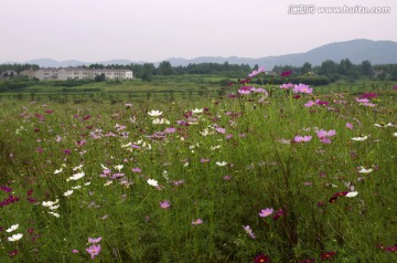 滁州城郊旅游生态农业园