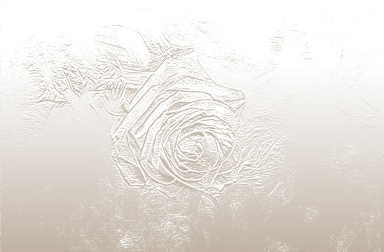 浮雕玫瑰花背景图案