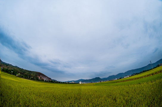 田野的天空