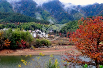 婺源秋色 徽派建筑 最美乡村