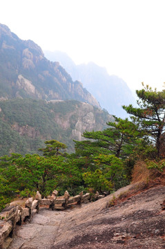 黄山风光 云雾 风雨黄山 云海