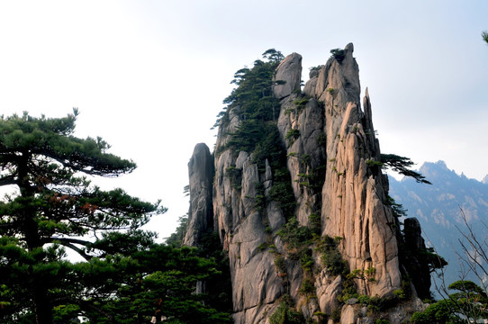 黄山风光 云雾 风雨黄山 云海