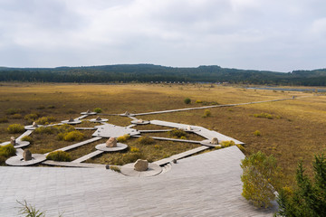 塞罕坝七星湖国家森林公园旅游