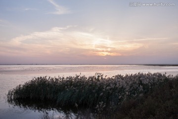 湿地日落