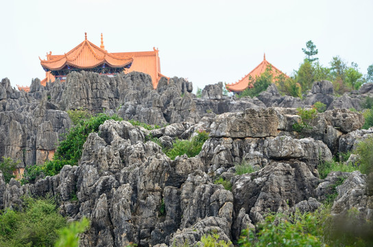 石林杏林寺